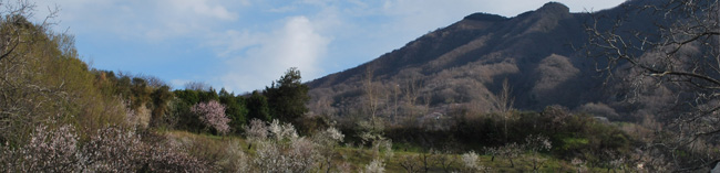 Vesuvius' environment