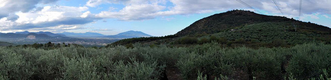 Landscape from Cammarano